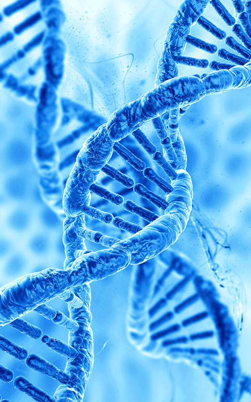 PDRN (polüdeoksüribonukleotiid)